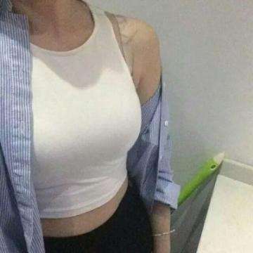 后宫计划正式版下载